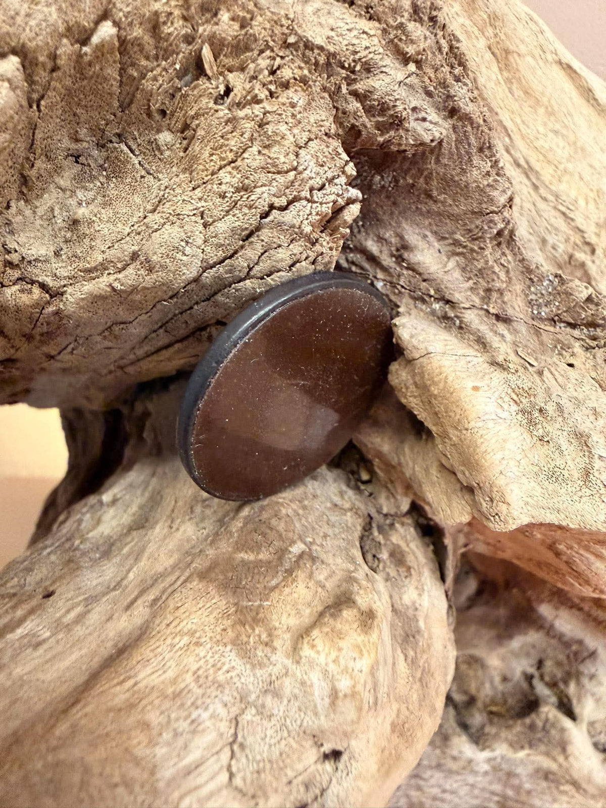 Plaque de téléphone en shungite rond, fleur de vie