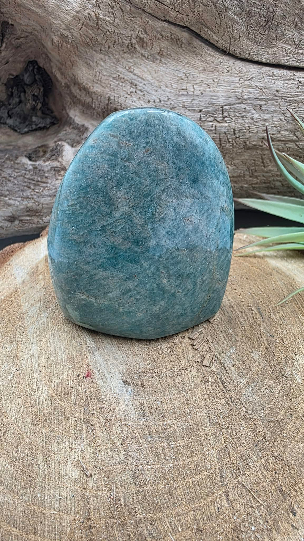 Amazonite – Pierre polie à poser