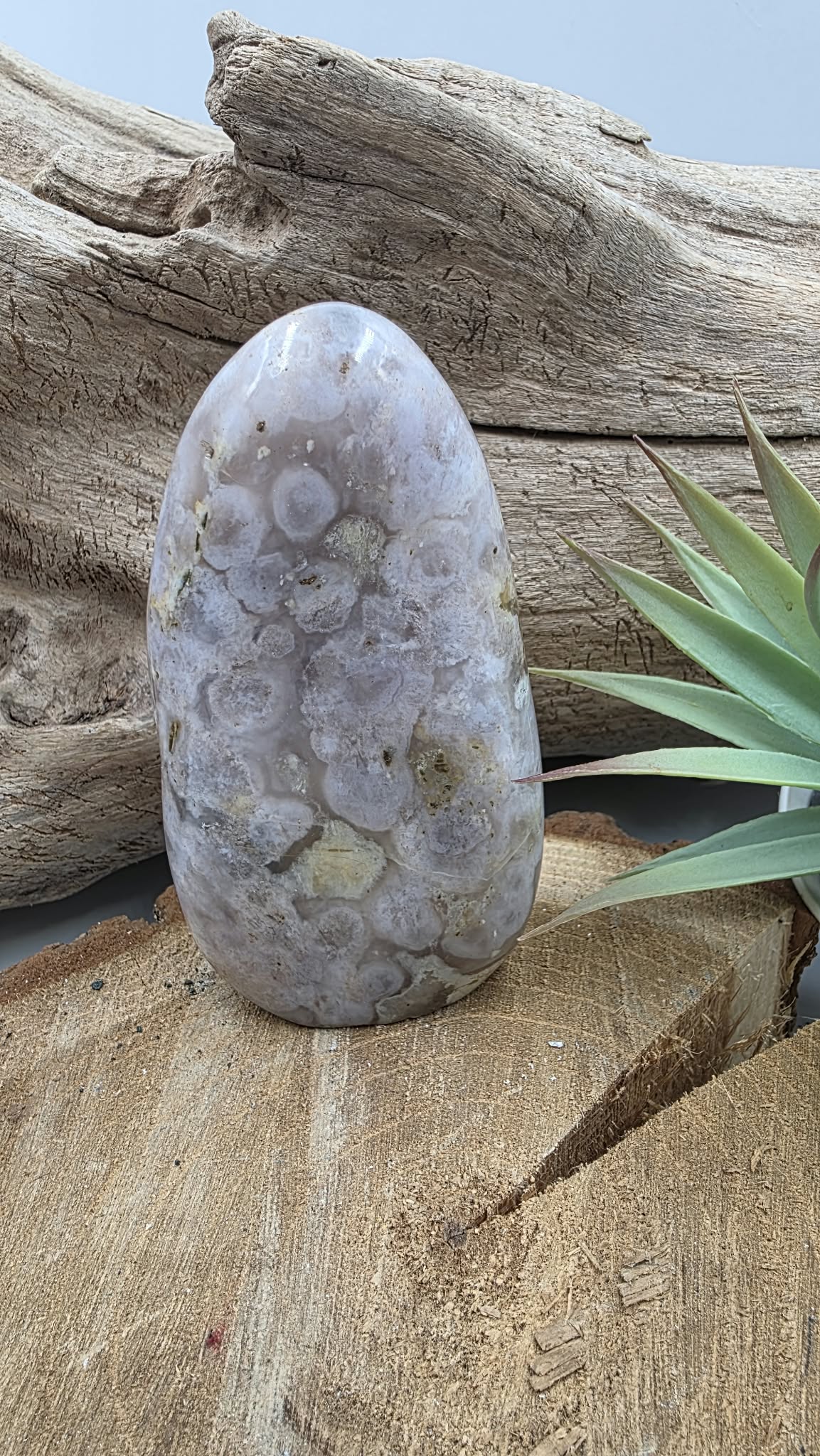 Agate Fleur de Cerisier – Pierre à poser « Nouveau Soi »
