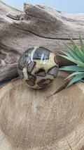 Boule de Septaria – Pierre naturelle