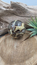 Boule de Septaria – Pierre naturelle