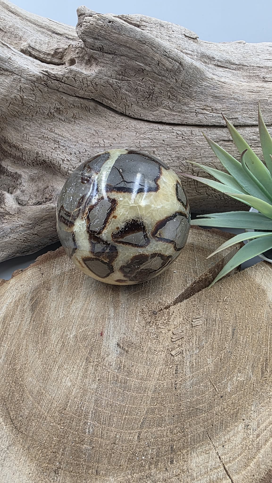 Boule de Septaria – Pierre naturelle
