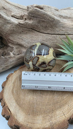 Boule de Septaria – Pierre naturelle