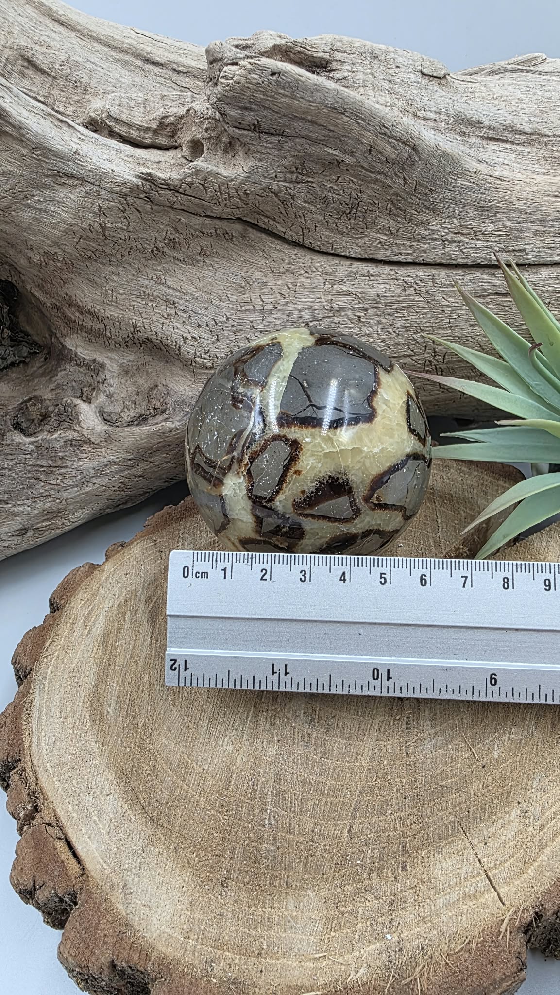 Boule de Septaria – Pierre naturelle